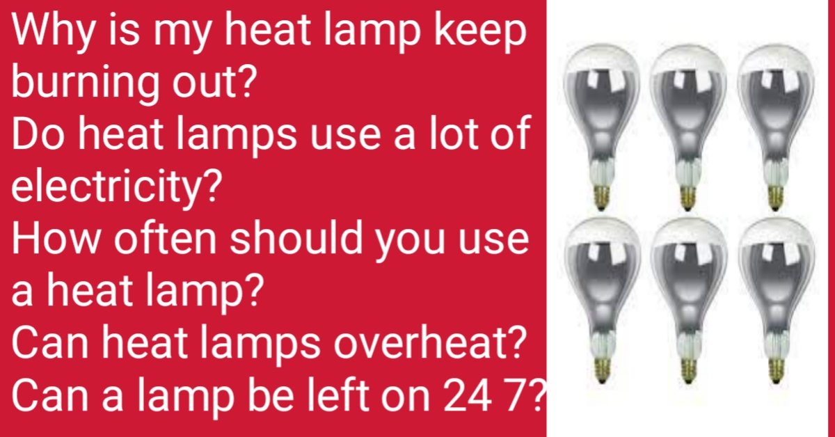 how long do heat lamps last Warm Lamps Mojtabakhan